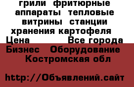 грили, фритюрные аппараты, тепловые витрины, станции хранения картофеля › Цена ­ 3 500 - Все города Бизнес » Оборудование   . Костромская обл.